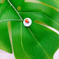 Daybreak | Aurora Opal and Sterling Silver Pendant